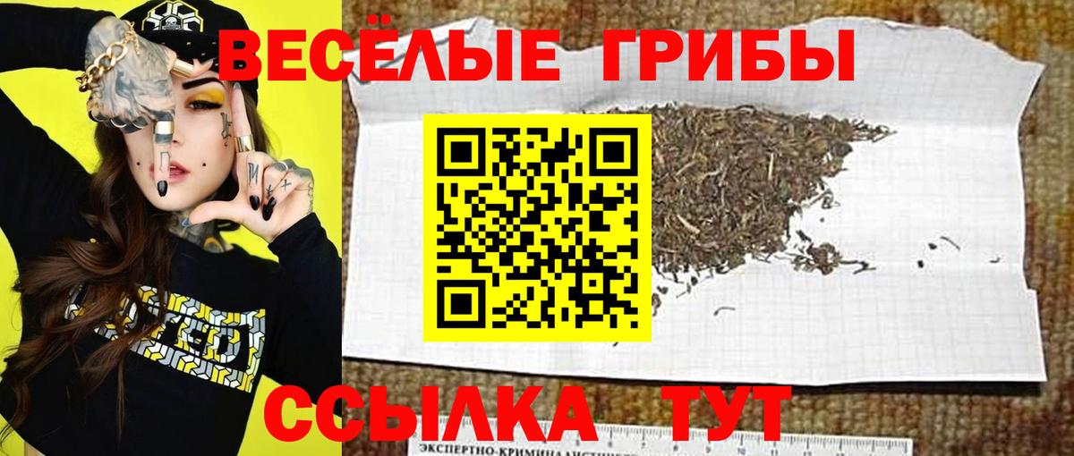 Гашиш  Конопля  Героин  Как найти наркотики?  Мефедрон   Полевской  Вход с VPN  Гашиш 