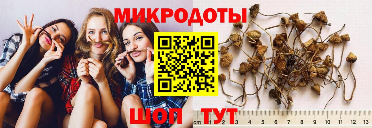 Псилоцибиновые грибы Magic Shrooms  Вход с VPN  Полевской 